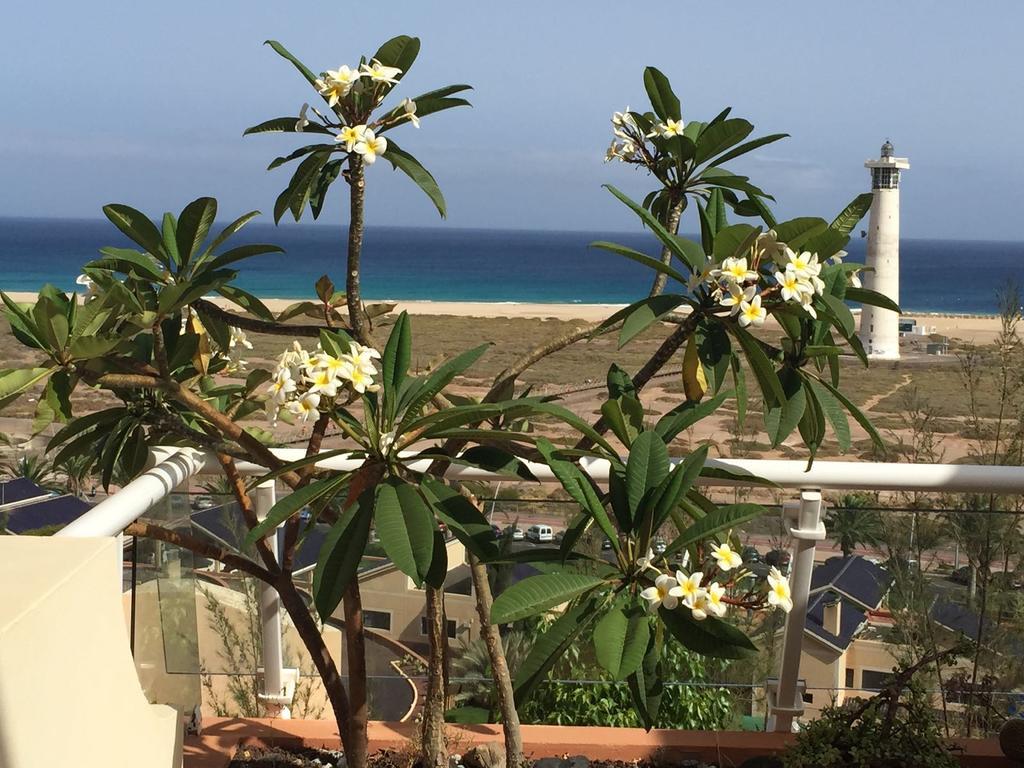 Terrazas De Jandia Appartement Morro Jable Buitenkant foto